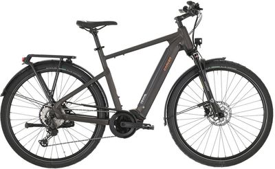 E-Bike Tourenrad Carver Route E.530 2025 | 625 Wh | 28 Zoll | Diamant (Bild 1)