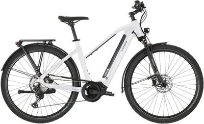 E-Bike Tourenrad Carver Route E.530 2025 | 625 Wh | 28 Zoll | Trapez (Bild 4)
