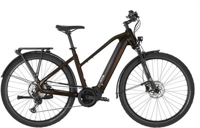 E-Bike Tourenrad Carver Route E.530 2025 | 625 Wh | 28 Zoll | Trapez (Bild 2)