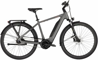 E-Bike Tourenrad Carver Tour E.420 2025 | 545 Wh | 28 Zoll | Diamant (Bild 1)