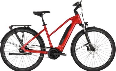E-Bike Tourenrad Carver Tour E.420 2025 | 545 Wh | 28 Zoll | Trapez (Bild 3)