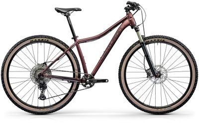 Cross Country Bike Centurion Backfire Fit Pro 800.29 HP2 2023 | 29 Zoll | Diamant (Bild 1)