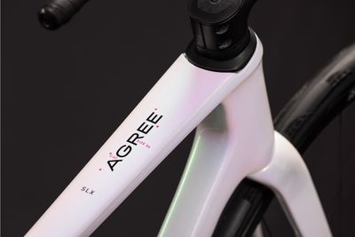 Endurance Bike Cube Agree C:62 SLX 2026 | 28 Zoll | Diamant | 53 CM | unicorn´n´pink (Bild 18)