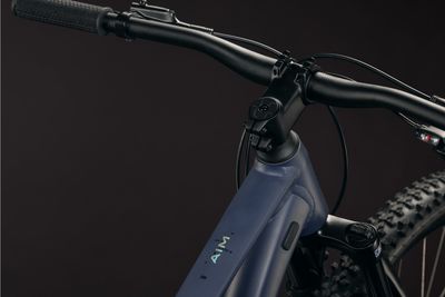 Cross Country Bike Cube Aim ONE 2026 | 29 Zoll | Diamant | L | mole´n´prism (Bild 5)