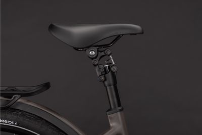 E-Bike Tourenrad Cube Kathmandu Hybrid ONE 800 2027 | 800 Wh | 28 Zoll | Tiefeinsteiger | 46 cm | cedar´n´chrome (Bild 7)