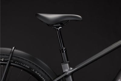 E-Cross Country Bike Cube Reaction Hybrid Race FE 2026 | 800 Wh | 29 Zoll | Diamant | M | slabgrey´n´chrome (Bild 3)