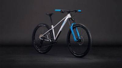 Trail Bike Cube Reaction TM ONE 2026 | 27,5 Zoll | Diamant (Bild 2)