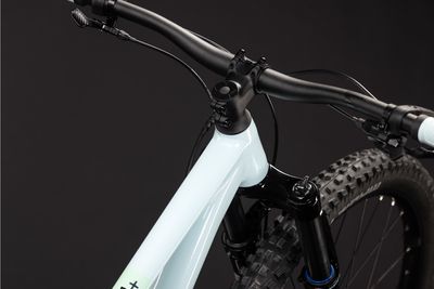 Cross Country Bike Cube Reaction TM ONE 2026 | 29 Zoll | Diamant | M | kolibri´n´black (Bild 6)