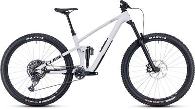All Mountain Bike Cube Stereo ONE55 C:62 Race 2024 | 29 Zoll | Diamant | S | lightgrey´n´grey (Bild 1)