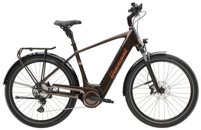E-Bike Tourenrad Diamant Mandara 160 Gen 3 2023 | 725 Wh | 27,5 Zoll | Diamant | L | BERNINABRAUN METALLIC (Bild 1)