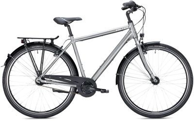Stadtrad FALTER C 3.0 2023 | 28 Zoll | Diamant (Bild 1)