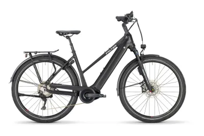 E-Bike Tourenrad FALTER E 10.0 2025 | 750 Wh | 28 Zoll | Trapez (Bild 1)