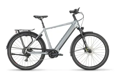 E-Bike Tourenrad FALTER E 6.0 2024 | 500 Wh | 28 Zoll | Diamant (Bild 1)