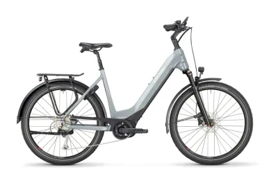E-Bike Tourenrad FALTER E 6.0 2024 | 500 Wh | 28 Zoll | Tiefeinsteiger (Bild 1)