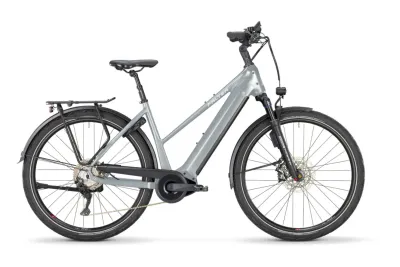 E-Bike Tourenrad FALTER E 6.0 2024 | 500 Wh | 28 Zoll | Trapez (Bild 1)