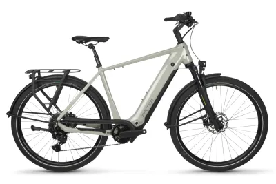 E-Bike Tourenrad FALTER E 6.0 2026 | 600 Wh | 28 Zoll | Diamant (Bild 1)