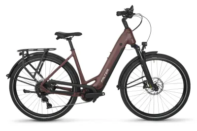 E-Bike Tourenrad FALTER E 7.0 PLUS 2026 | 800 Wh | 28 Zoll | Tiefeinsteiger (Bild 2)