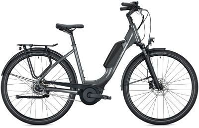E-Stadtrad FALTER E 9.0 RT 500 2023 | 500 Wh | 26 Zoll | Tiefeinsteiger (Bild 1)