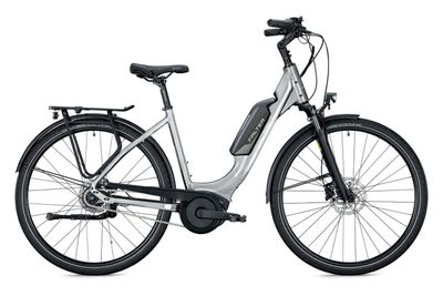 E-Stadtrad FALTER E 9.0 RT 500 2022 | 500 Wh | 26 Zoll | Tiefeinsteiger (Bild 3)