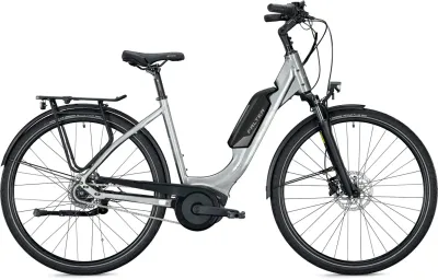 E-Stadtrad FALTER E 9.0 RT 500 2022 | 500 Wh | 26 Zoll | Tiefeinsteiger (Bild 4)