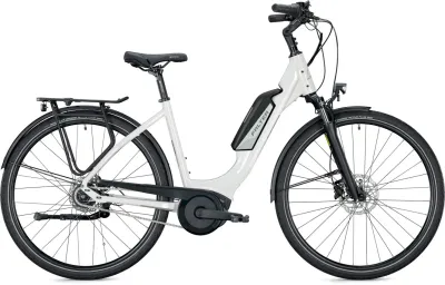 E-Stadtrad FALTER E 9.0 RT 500 2022 | 500 Wh | 26 Zoll | Tiefeinsteiger (Bild 6)