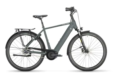 Urban E-Bike FALTER E 9.4 FL 2025 | 625 Wh | 28 Zoll | Diamant (Bild 1)
