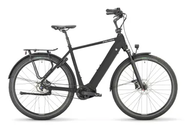 Urban E-Bike FALTER E 9.4 SE FL 2025 | 625 Wh | 28 Zoll | Diamant (Bild 1)