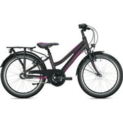 Kinderfahrrad 20 Zoll FALTER FX 203 ND 2022 | 20 Zoll | Trapez (Bild 2)