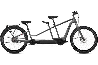 E-Lastenrad FLYER G3 Tandem 7.83 2025 | 1250 Wh | 27,5 Zoll | Sonstiges | XS/M | Silver Dark Cool (Bild 2)