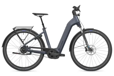 Urban E-Bike FLYER Gotour 5.43 CX 2025 | 750 Wh | 29 Zoll | Tiefeinsteiger | M | cold anthracite gloss (Bild 1)