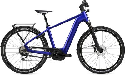 E-Bike Tourenrad FLYER Gotour 7.10 2024 | 750 Wh | 28 Zoll | Diamant (Bild 2)