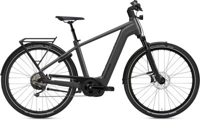 E-Bike Tourenrad FLYER Gotour 7.10 2024 | 750 Wh | 28 Zoll | Diamant (Bild 1)