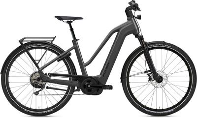 E-Bike Tourenrad FLYER Gotour 7.10 Mixed 2024 | 750 Wh | 28 Zoll | Trapez (Bild 1)