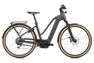 E-Bike Tourenrad FLYER Gotour 7.12 XC 2024 | 750 Wh | 28 Zoll | Trapez (Bild 1)