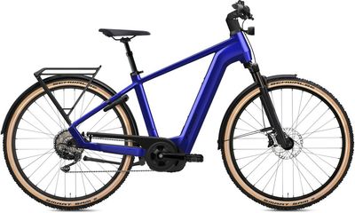 E-Bike Reiserad FLYER Gotour 7.12 XC 2024 | 750 Wh | 28 Zoll | Diamant (Bild 2)