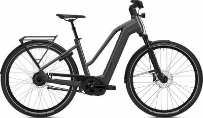 E-Bike Tourenrad FLYER Gotour 7.23 Mixed NL 2023 | 750 Wh | 29 Zoll | Trapez (Bild 1)