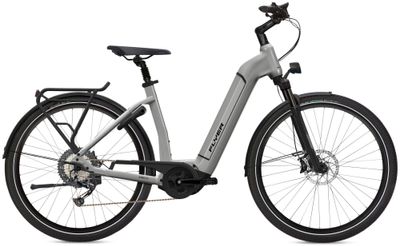 E-Bike Tourenrad FLYER Gotour6 3.10 2022 (Bild 2)