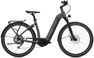 E-Bike Tourenrad FLYER Gotour6 3.10 2022 (Bild 1)