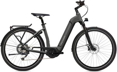 E-Bike Tourenrad FLYER Gotour6 3.10 Comfort 2024 | 625 Wh | 28 Zoll | Tiefeinsteiger (Bild 2)
