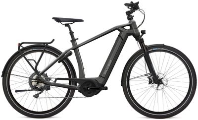 E-Bike Tourenrad FLYER Gotour6 7.10 2022 (Bild 2)