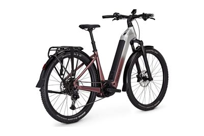 E-Bike Tourenrad Focus AVENTURA² 6.8 2026 | 800 Wh | 29 Zoll | Tiefeinsteiger | M / 44 cm | Nepalsilver / Mauve (Bild 5)