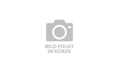 E-Allmountain MTB Focus THRON² 6.9 2024 | 625 Wh | 29 Zoll | Diamant (Bild 1)