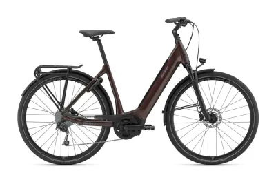 E-Bike Tourenrad GIANT AnyTour E+ 3 2021 | 28 Zoll | 500 Wh | Tiefeinsteiger | L | rosewood matt-gloss (Bild 1)