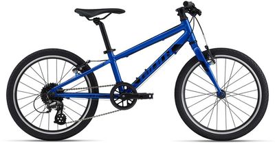 Kinderfahrrad 20 Zoll GIANT ARX 20 2024 | 20 Zoll | Diamant (Bild 1)