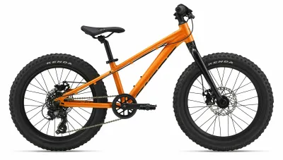 Kinderfahrrad 20 Zoll GIANT STP 20 2024 | 20 Zoll | Diamant (Bild 1)
