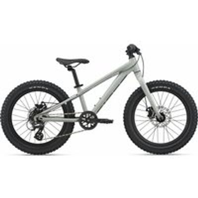 Kinderfahrrad 20 Zoll GIANT STP 20 GIANT 2022 | 20 Zoll | Diamant (Bild 1)
