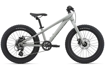 Kinderfahrrad 20 Zoll GIANT STP 20 GIANT 2022 | 20 Zoll | Diamant (Bild 2)