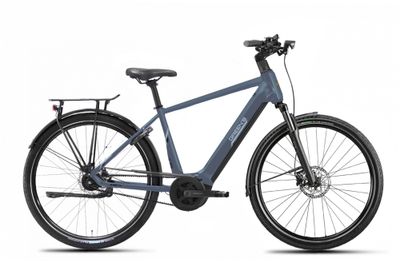 E Crossbike Green's Carlton R750 2023 (Bild 1)