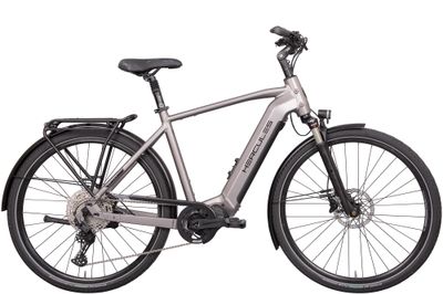 E-Bike Tourenrad Hercules Edison Comp I-12 2022 (Bild 1)