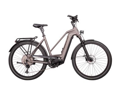 E-Bike Tourenrad Hercules Futura Max I-12 2022 (Bild 1)